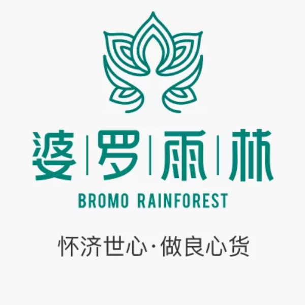 婆罗雨淋微商代理管理系统开发案例